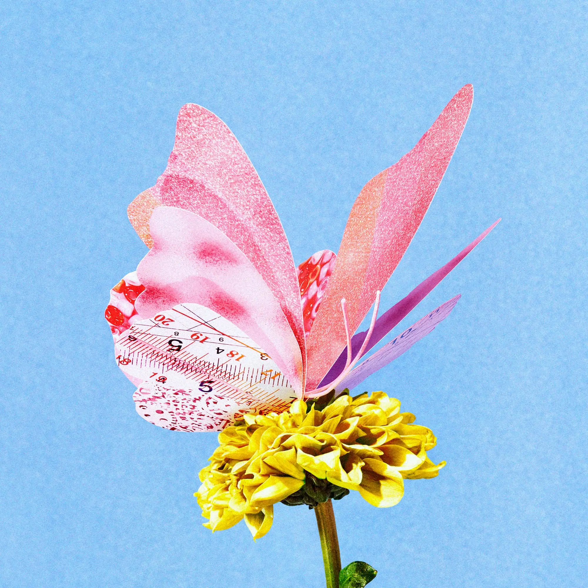 Work photographed by AKANE