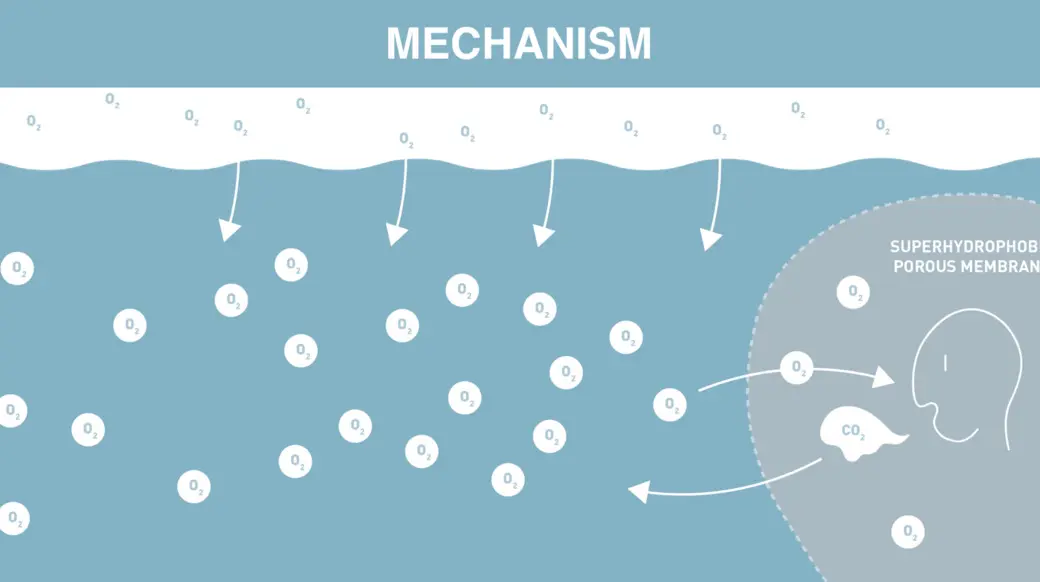 MECHANISM