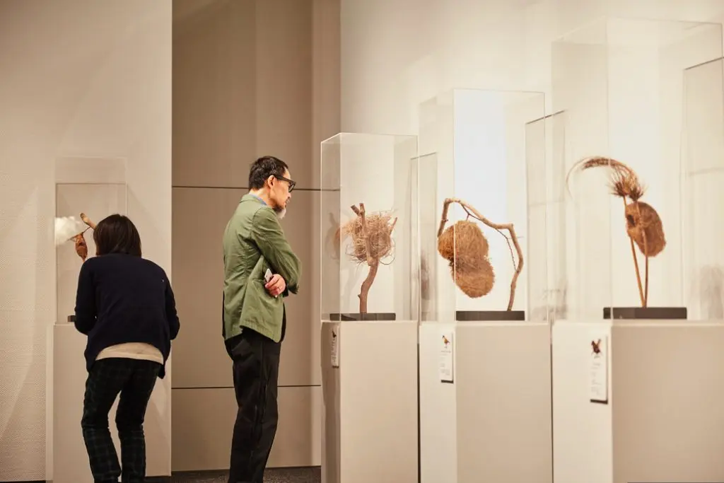 当日展示された世界各地の鳥の巣コレクションを見学する来場者
