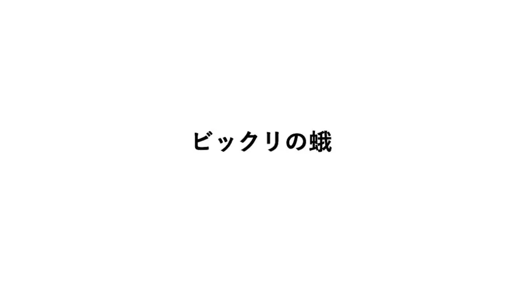ビックリの蛾