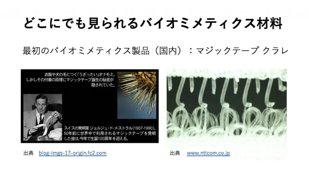 バイオミメティクス材料