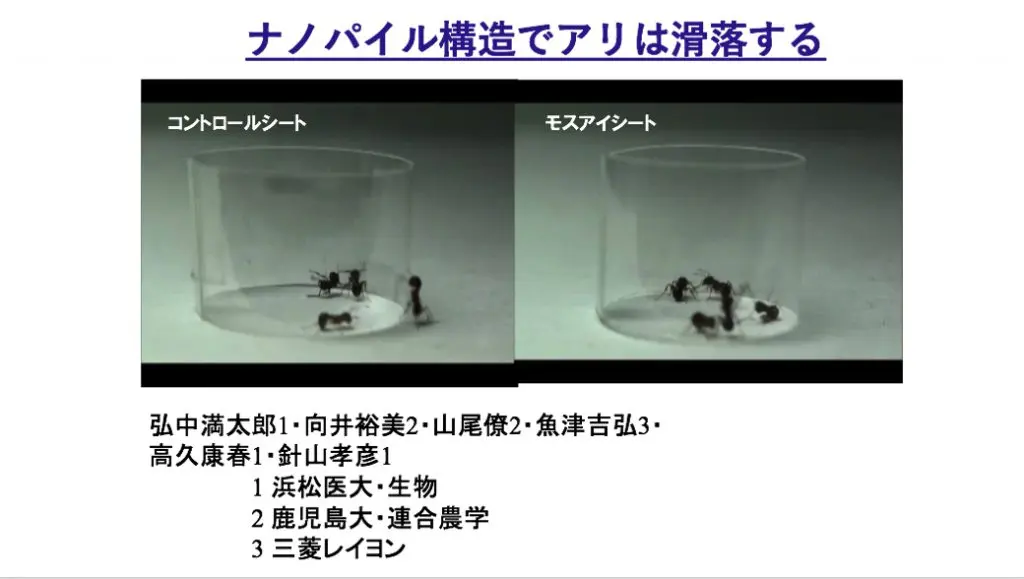 ナノパイル構造でアリは滑落する