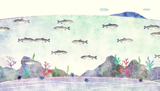 石巻市「泳ぎ寿司」