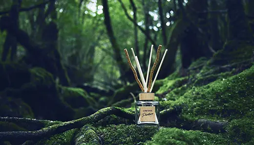 アース製薬「Sukki-ri! CORK＋STICK -Puriture-」