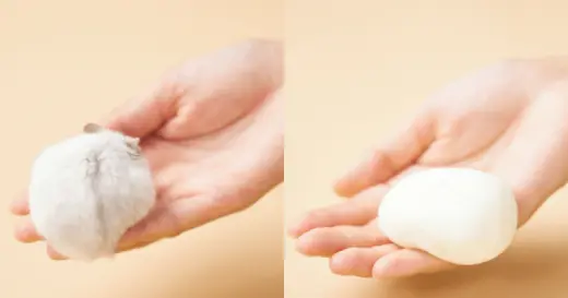 ロッテ「生雪見だいふく」｜SNS話題化戦略&コンテンツ制作でトレンド入り！