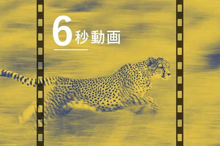 なぜWeb動画広告は６秒なのか？