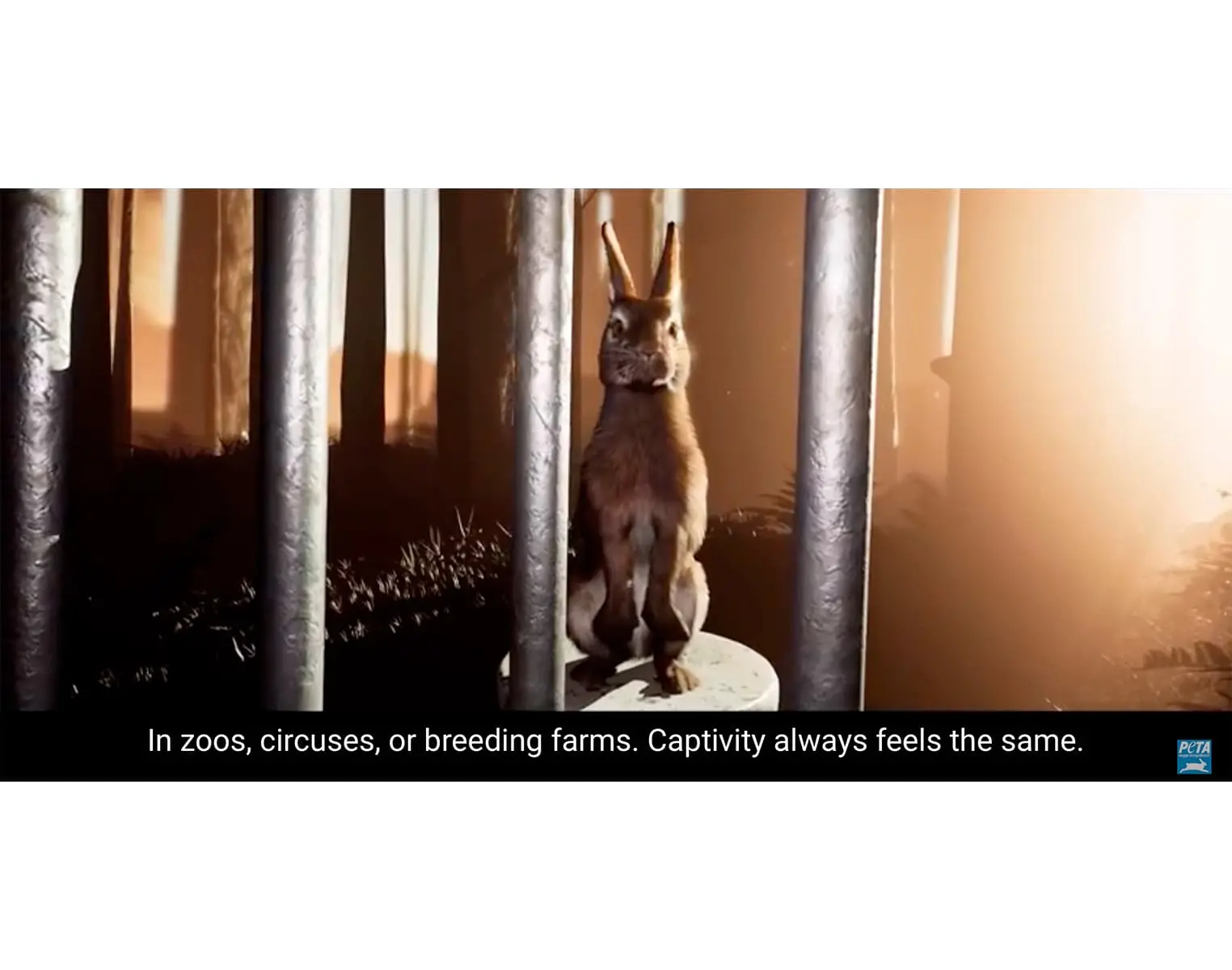 動物愛護団体が仕掛ける強烈なVR映像体験とは