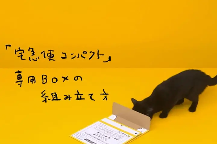 情報発信ツールにしないで！ Web動画は“どう魅せるか”です